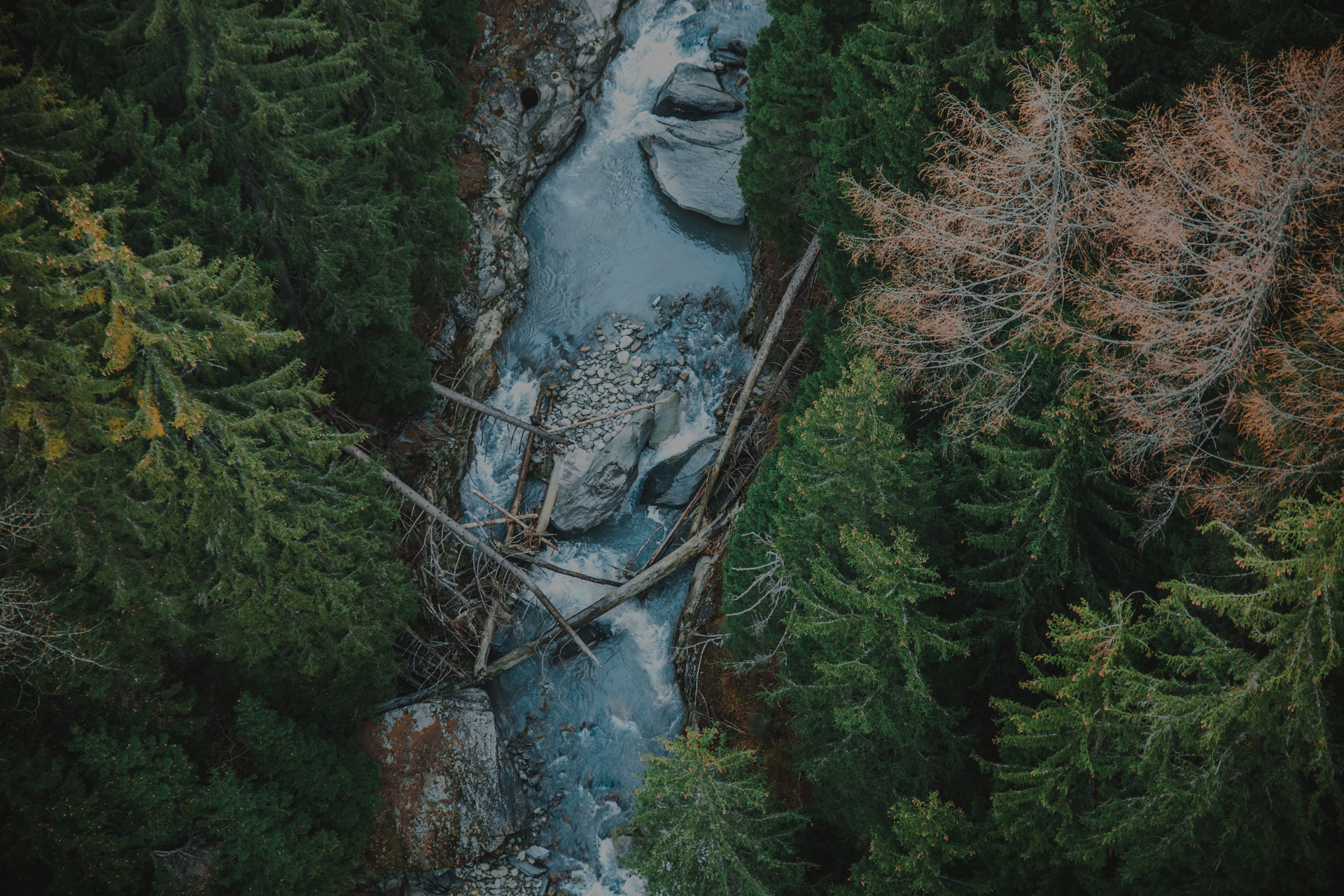 on-vagabonde-banner-homepage-bridge