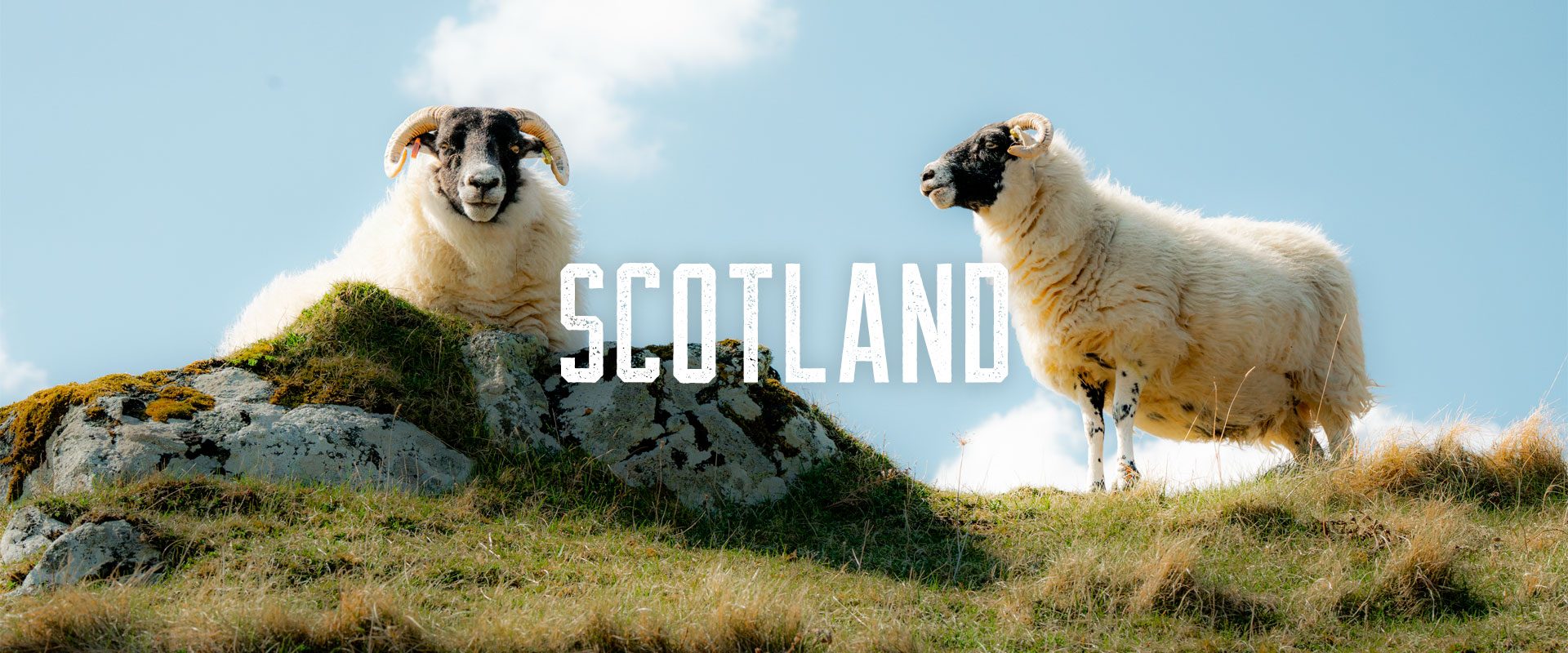 Banners_Desktop-scotland