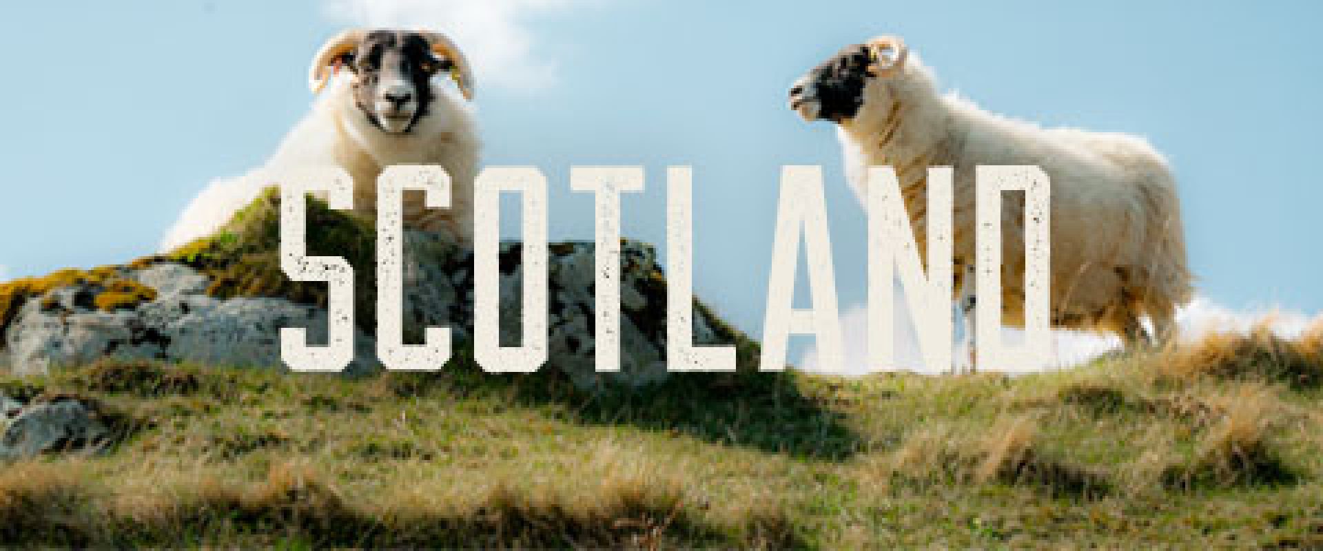 Banners_phone-scotland